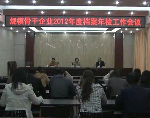 大豐市召開規(guī)模骨干企業(yè)2012年度檔案年檢工作會(huì)議